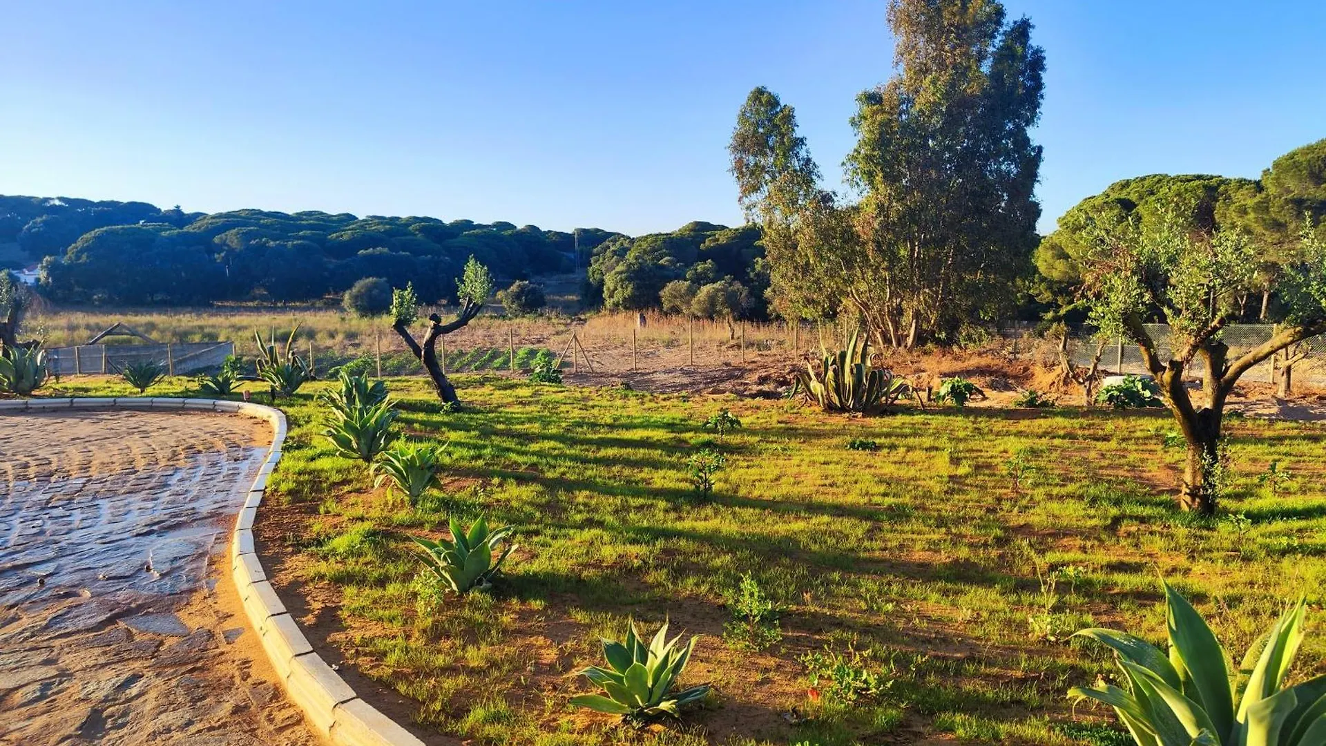 Villa Hacienda La Yerbabuena Cadice Spagna