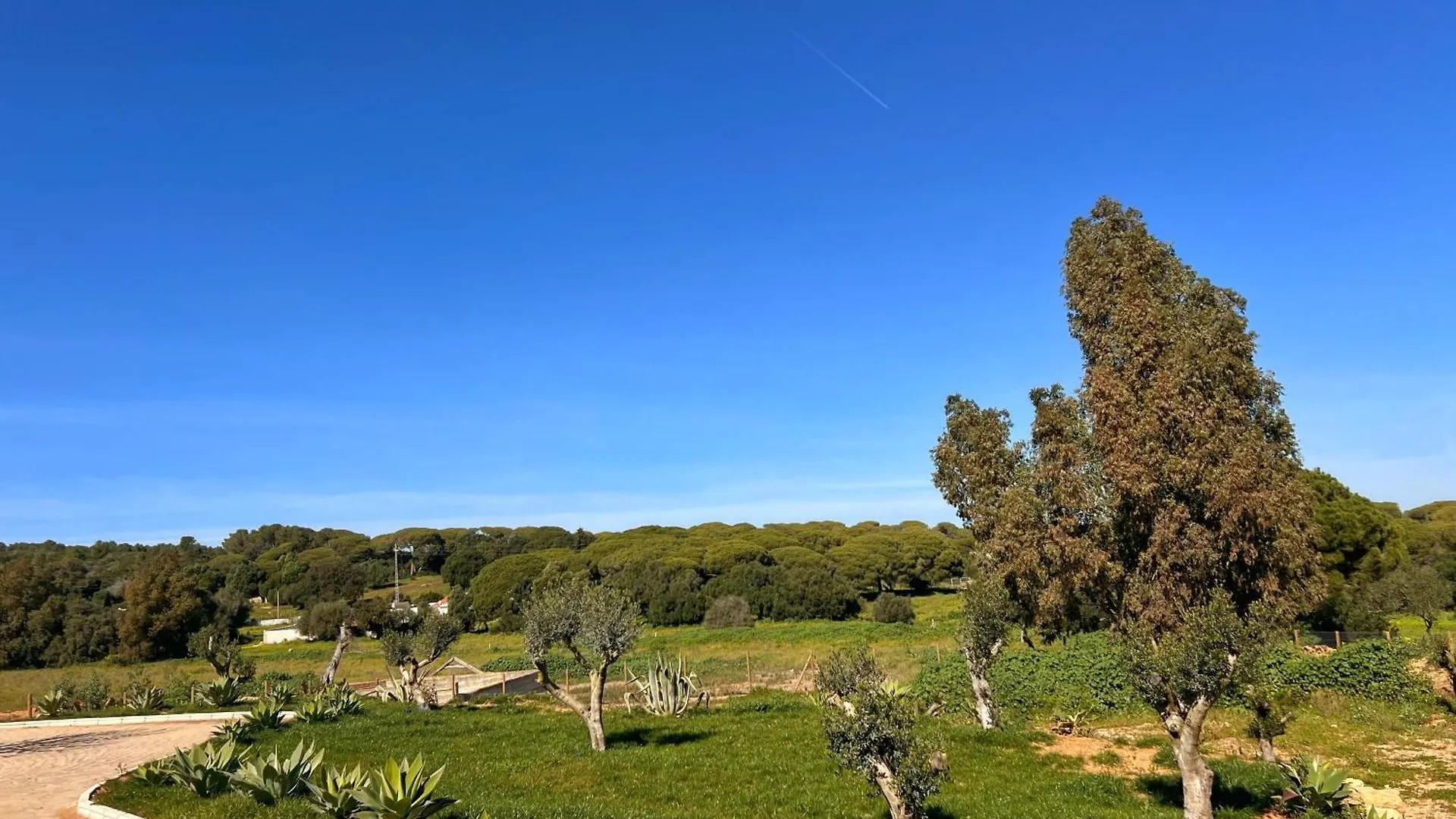 Hacienda La Yerbabuena Villa Cadiz